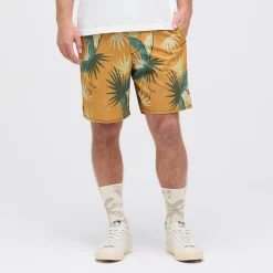 Stance Complex 2.0 Short Goldfade Online