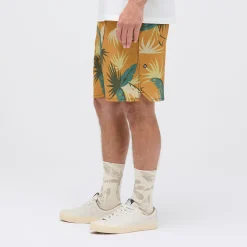 Stance Complex 2.0 Short Goldfade Online