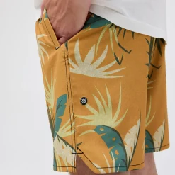 Stance Complex 2.0 Short Goldfade Online
