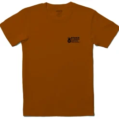 Stance Graphics Tee Classified Spice